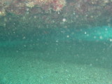 Tauchplatz Aquarium